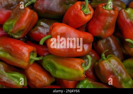 Red pepper on the counter. A large amount of red pepper, close up Stock Photo