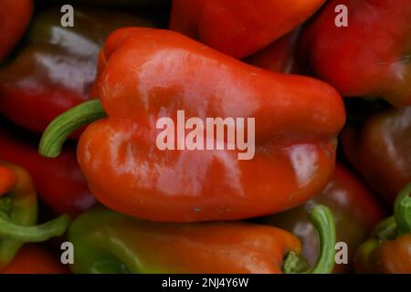 Red pepper on the counter. A large amount of red pepper in the supermarket Stock Photo