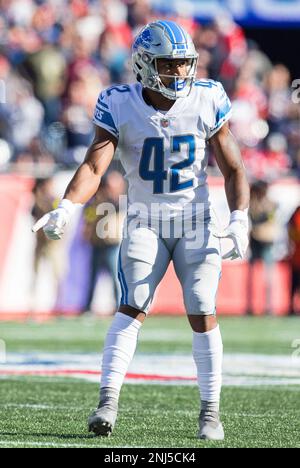 FOXBOROUGH, MA - OCTOBER 09: Detroit Lions running back Jamaal Williams  (30) interacts with fans prior to the NFL game between Detroit Lions and  New England Patriots on October 9, 2022, at