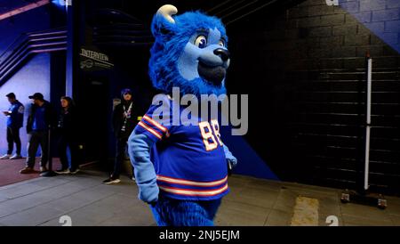 Philadelphia Eagles vs. New York Giants. Fans support on NFL Game.  Silhouette of supporters, big screen with two rivals in background Stock  Photo - Alamy