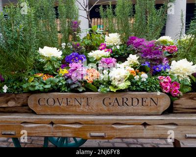 Floral display (2023)  in the original Covent Garden a famous tourist attraction and shopping centre in central London, England, UK Stock Photo