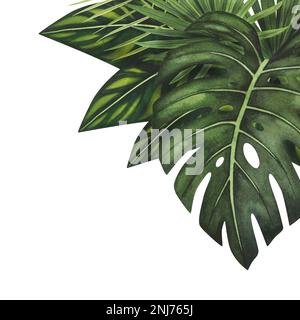 Composition tropic variegated plants leaves, Monstera watercolor isolated on white background. Watercolor hand drawn botanical llustration for design Stock Photo