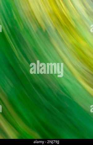 Natural green blurred background. Abstract bokeh and blurred green nature background Stock Photo