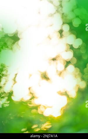 Blurred city park on background. Bokeh sun and blur green tree background. Stock Photo
