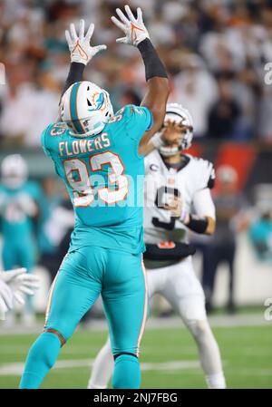 Miami Dolphins linebacker Trey Flowers (93) lines up for the play during an  NFL football game against the Cincinnati Bengals, Thursday, Sept. 29, 2022,  in Cincinnati. (AP Photo/Emilee Chinn Stock Photo - Alamy