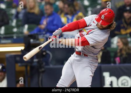 MILWAUKEE, WI - SEPTEMBER 22: St. Louis Cardinals starting pitcher Miles  Mikolas (39) bunts during a game between the Milwaukee Brewers and the St  Louis Cardinals at American Family Field on September