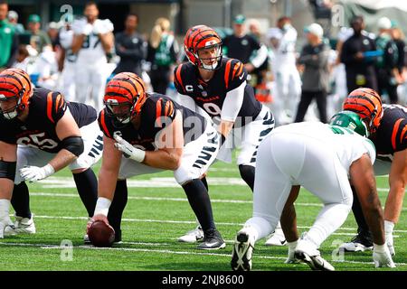 Cincinnati Bengals quarterback Joe Burrow (9) runs off the field after an  NFL football game against the New York Jets, Sunday, Sept. 25, 2022, in  East Rutherford, N.J. The Cincinnati Bengals won