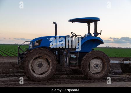 Agriculture in Yuma Az Stock Photo