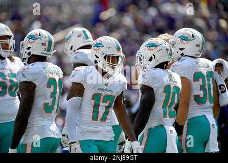 Miami Dolphins wide receiver Jaylen Waddle (17) runs a play during an NFL  football game against the Cleveland Browns, Sunday, Nov. 13, 2022, in Miami  Gardens, Fla. (AP Photo/Doug Murray Stock Photo - Alamy