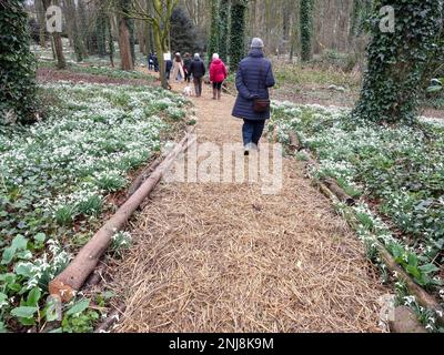 Visitors on the annual Snowdrop Walk at the House of God a home for elderly people established in Greatham Hartlepool in 1273 Stock Photo