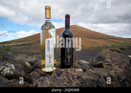 bottles of arena malvasia white wine arena negra red wine from vega volcan small artisan wine producing farm Lanzarote, Canary Islands, Spain Stock Photo