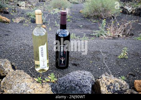 bottles of arena malvasia white wine arena negra red wine from vega volcan small artisan wine producing farm Lanzarote, Canary Islands, Spain Stock Photo