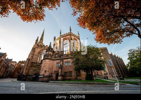 Framed view of Coventry Cathedral With winter trees in England Stock Photo