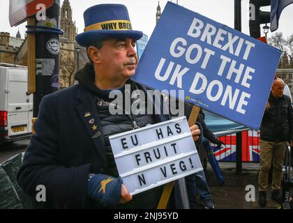 Westminster, London, UK. 22nd Feb, 2023. 'Stop Brexit Man' Steve Bray with his placards. Anti-Brexit protesters opposite Parliament lead on a theme of current UK fruit and vegetable shortages, which are in part blamed on Brexit related supply chain issues, and the on-goin row over the Northern Ireland protocol, which continues to strain UK-EU relations. Credit: Imageplotter/Alamy Live News Stock Photo