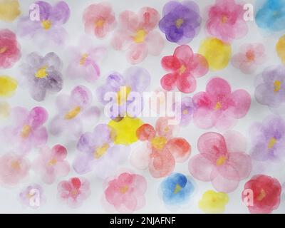 Hand drawn watercolor cute flowers on white paper. Stock Photo