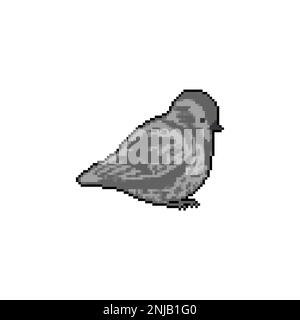 Sparrow pixel art. 8 bit Small bird. Vector illustration. Stock Vector