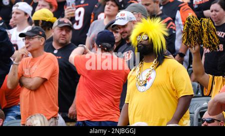 Cincinnati Bengals vs. Pittsburgh Steelers. Fans support on NFL