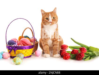 Cute cat, basket with Easter eggs and tulips on white background Stock Photo