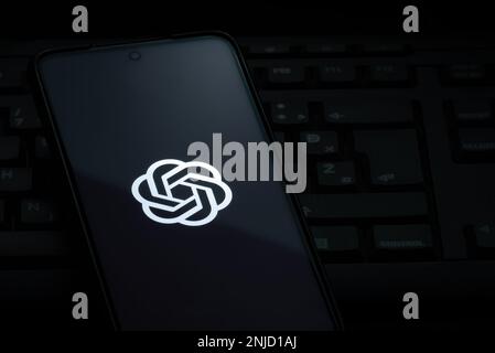 Ljubljana, Slovenia - 21 January 2023: OpenAI logo on smartphone screen laying on computer keyboard Stock Photo