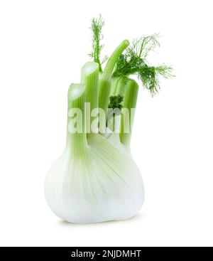 Fresh fennel bulb isolated on white background. Withclipping path Stock Photo