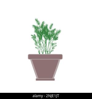 Dill herb in clay pot vector illustration Stock Vector