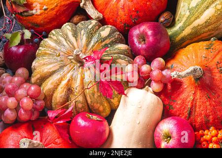 Аutumn agricultural still life from the harvest of fruits and vegetables, selective focus, flat lay, top view Stock Photo