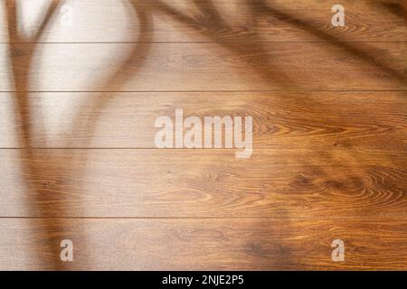 Light from the window on the wooden wall inside the building. A Game of shadows from the falling rays of the sun on a wood boards Stock Photo