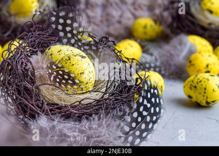 Holiday still life with decorative quail eggs in a brown nest among feathers. Easter decor with selective focus Stock Photo