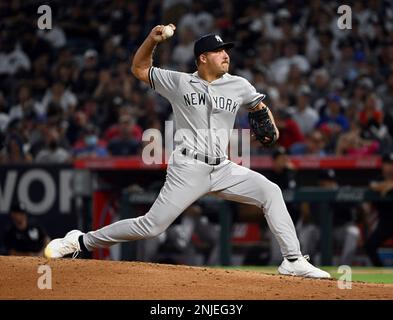 New York Yankees right fielder Aaron Judge (99) and first baseman Anthony  Rizzo (48) embraces during opening ceremonies before the Yankees opening  day baseball game against the Boston Red Sox, Friday, April