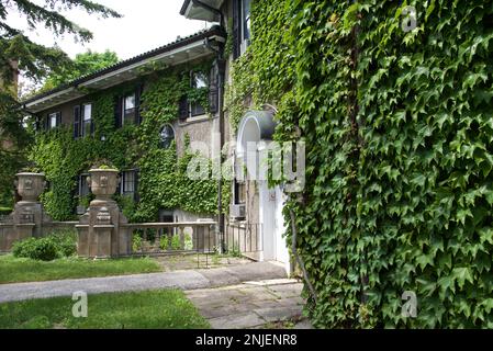 Vines climb up the stone walls in a historic house Stock Photo