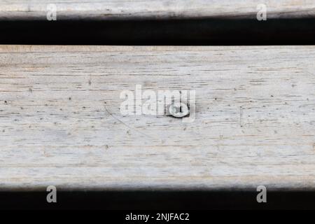 Weathered Outdoor Deck Wood With Phillips Screw Stock Photo