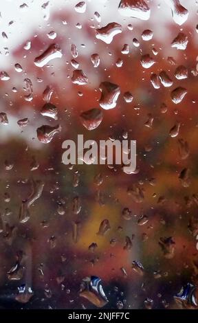 Raindrops Gathered on a window with abstract colorful leaves in the background Stock Photo