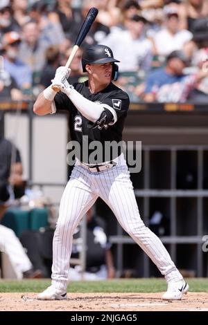 Maryvale, United States. 24th Feb, 2023. Los Angeles Dodgers shortstop Chris  Taylor (3) flies out to Chicago White Sox right fielder Romy Gonzalez (12)  in the fifth inning of an MLB spring