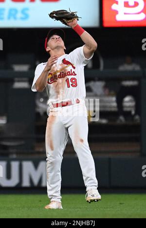 May 19, 2019: St. Louis Cardinals first baseman Paul Goldschmidt #46 at bat  during an interleague MLB game between the St. Louis Cardinals and the  Texas Rangers at Globe Life Park in