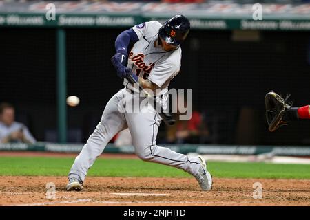 Detroit Tigers catcher Tucker Barnhart (15) before the MLB game