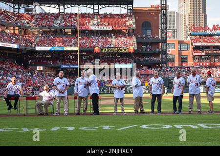 Members of the 1982 St. Louis Cardinals World Series Championship team  lineup as they are introuduced before the Milwaukee Brewers-St. Louis  Cardinals baseball game at Busch Stadium in St. Louis on August