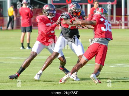 Tampa Bay Buccaneers cornerback Don Gardner (36) runs during a NFL football  game against the Baltimore Ravens,Thursday, Oct. 27, 2022 in Tampa, Fla.  (AP Photo/Alex Menendez Stock Photo - Alamy