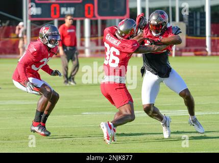 Tampa Bay Buccaneers cornerback Don Gardner runs sprints during the NFL  football team's rookie minicamp, Friday, May 13, 2022, in Tampa, Fla. (AP  Photo/Chris O'Meara Stock Photo - Alamy