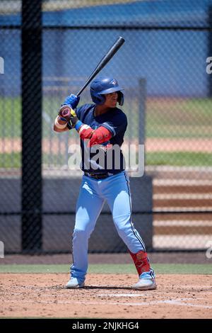 Dunedin Blue Jays shortstop Manuel Beltre (7) during an MiLB Florida State  League baseball game against the Tampa Tarpons on April 13, 2023 at TD  Ballpark in Dunedin, Florida. (Mike Janes/Four Seam