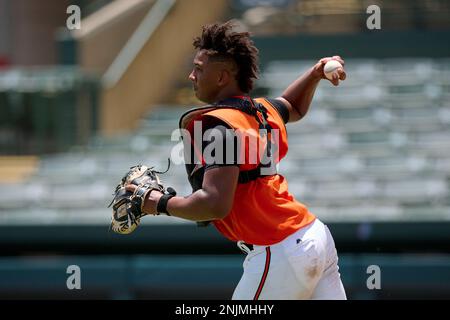 FCL Orioles DJ Stewart (24) high fives Samuel Basallo (29) after a home run  during a Florida Complex League baseball game against the FCL Pirates on  July 29, 2022 at Ed Smith