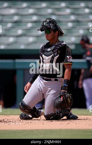 FCL Pirates Omar Alfonzo (79) during a Florida Complex League baseball game  against the FCL Twins on August 8, 2022 at Pirate City in Bradenton,  Florida. (Mike Janes/Four Seam Images via AP