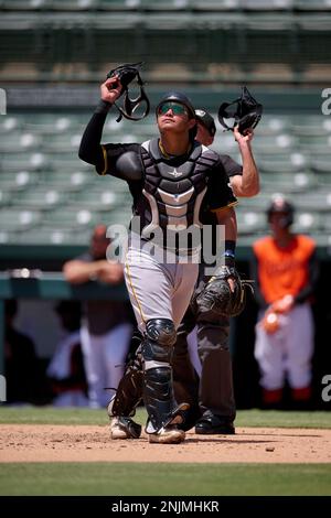 FCL Pirates first baseman Omar Alfonzo (79) during a Florida Complex League  baseball game against the FCL Rays on June 16, 2022 at Pirate City in  Bradenton, Florida. (Mike Janes/Four Seam Images