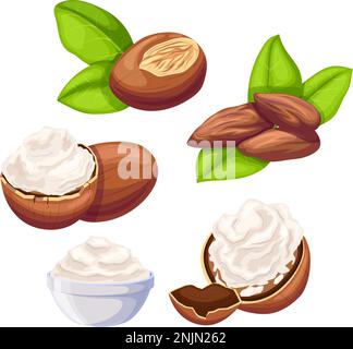 shea beauty butter set cartoon vector illustration color sign Stock Vector