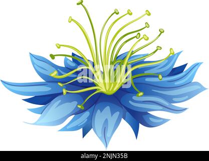 nigella sativa cumin black cartoon vector illustration Stock Vector