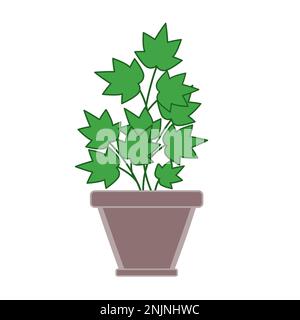 Parsley herb in pot in flat technique vector illustration Stock Vector