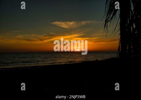 Dramatic sunset at the sea, the sun on the sea horizon, the cloudy sky shines in an intense gold orange, in the foreground in the shade palm leaves. Stock Photo