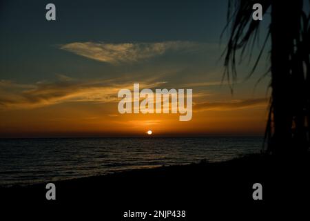 Dramatic sunset at the sea, the sun on the sea horizon, the cloudy sky shines in an intense gold orange, in the foreground in the shade palm leaves. Stock Photo