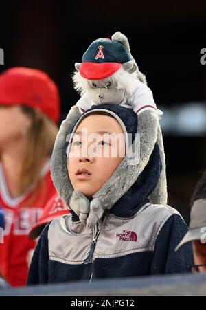 angels baseball rally monkey, 公認海外通販サイト