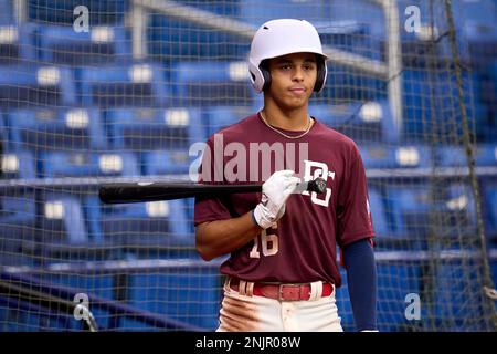 Andruw Jones  Four Seam Images