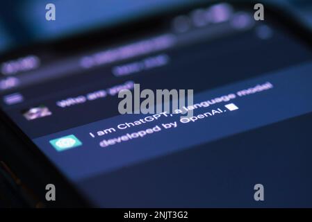 In this photo illustration, a person browses ChatGPT, a chatbot launched by OpenAI, on a smartphone, on February 23, 2023 in Guwahati, India. ChatGPT is a popular artificial intelligence chatbot, which has reached over 100 million users in two months after launch. Credit: David Talukdar/Alamy Live News Stock Photo